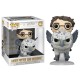 Boneco Harry Potter And Buckbeak Pop Funko 123