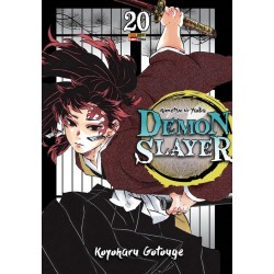 Mangá Demon Slayer Kimetsu No Yaiba Volume 20