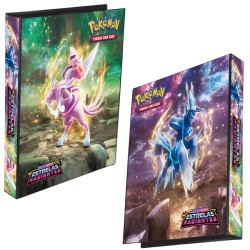 Fichário Álbum Pasta Pokémon Xy Evoluções Mega Charizard Y